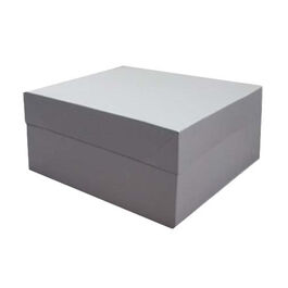 CAJA BLANCA 45X35X15 CM.