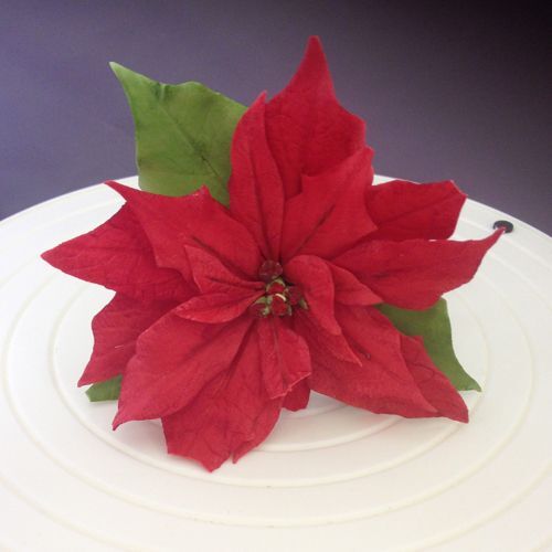 SET CORTADORES POINSETTIA FMM